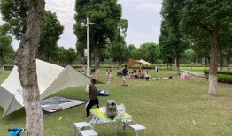 乌拉公园爆料事件视频,视频揭露惊人真相